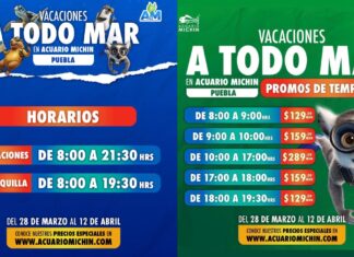 Aventúrate en Acuario Michin Puebla este periodo vacacional