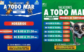 Aventúrate en Acuario Michin Puebla este periodo vacacional