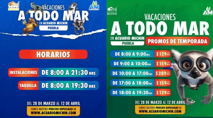 Aventúrate en Acuario Michin Puebla este periodo vacacional