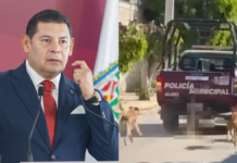 Armenta condena maltrato animal por parte de policías en Xochiltepec