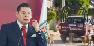 Armenta condena maltrato animal por parte de policías en Xochiltepec