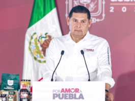 Armenta pide renuncia a servidores con aspiraciones rumbo a 2027
