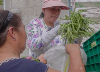 Ana Tepole gestiona entrega de apoyo alimentario en Tehuacán
