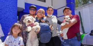 Ana Tepole se suma a jornada de bienestar animal en Tehuacán