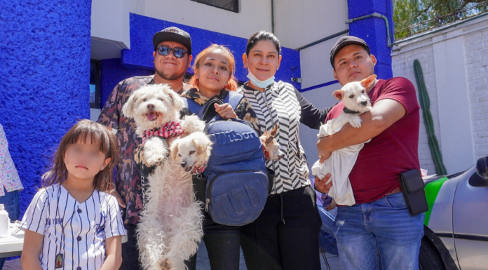 Ana Tepole se suma a jornada de bienestar animal en Tehuacán