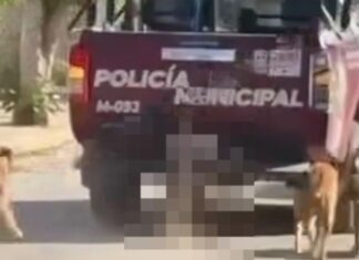 Fiscalía investiga muerte de perro arrastrado por patrulla en Xochiltepec