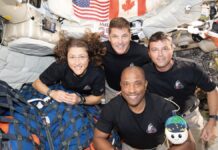 Astronautas de Artemis II se preparan para regresar a la Tierra