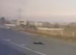 Persona muere atropellada en la autopista Puebla-Orizaba