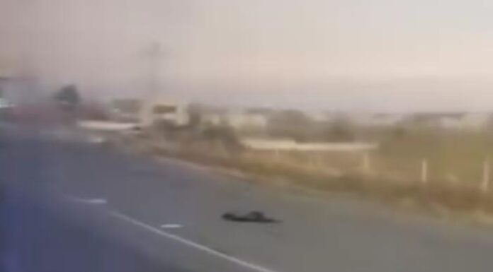 Persona muere atropellada en la autopista Puebla-Orizaba