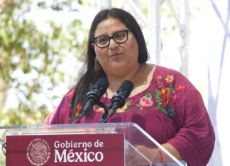 Citlalli Hernández deja la Secretaría de las Mujeres para ir a Morena