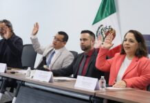 Exhortan a rescatar lenguas indígenas con tecnologías digitales
