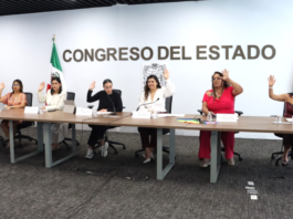 Comisión avala dictamen para prevenir violencia vicaria en Puebla