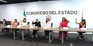 Comisión avala dictamen para prevenir violencia vicaria en Puebla