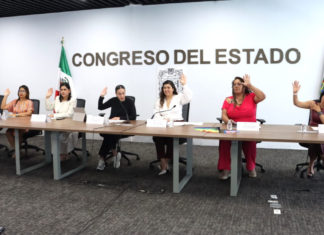 Comisión avala dictamen para prevenir violencia vicaria en Puebla