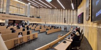 PAN llama a frenar “leyes al vapor” tras invalidación del delito de ciberasedio