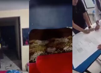 Denuncian presuntos abusos en “cuarto secreto” de colegio en la Romero Vargas