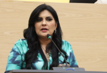 Delfina Pozos plantea ajuste a reformas sobre delito de despojo