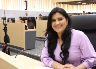 Delfina Pozos advierte que reducción de regidores impacta pluralidad política