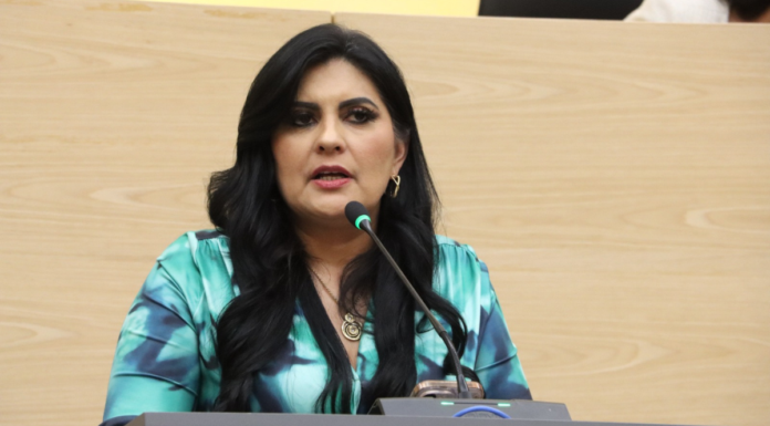 Delfina Pozos plantea ajuste a reformas sobre delito de despojo