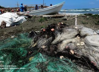 Derrame de crudo en el Golfo de México afecta a más de 3 mil 600 pescadores