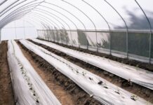 Lupita Cuautle entrega 50 invernaderos a productores en San Andrés Cholula