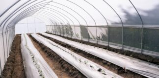 Lupita Cuautle entrega 50 invernaderos a productores en San Andrés Cholula
