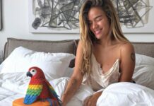 Karol G teme represalias migratorias en EU si habla contra ICE