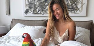 Karol G teme represalias migratorias en EU si habla contra ICE