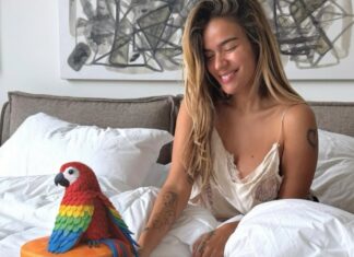 Karol G teme represalias migratorias en EU si habla contra ICE