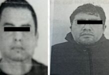 Sentencian a dos hombres por muertes de animales “Peluchita” y “Chon”