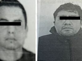 Sentencian a dos hombres por muertes de animales “Peluchita” y “Chon”