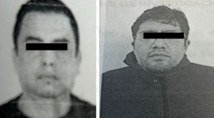 Sentencian a dos hombres por muertes de animales “Peluchita” y “Chon”