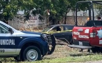 Ataque armado deja dos hombres muertos en Nicolás Bravo