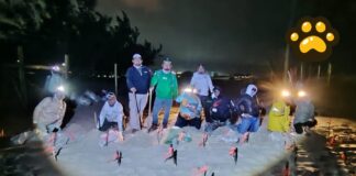 Protegen 472 nidos de tortuga lora en costas de Tamaulipas