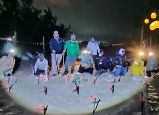 Protegen 472 nidos de tortuga lora en costas de Tamaulipas