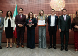 Puebla gana Premio u-Gob por guías contra violencia digital