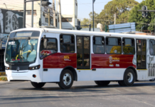 Usuarios de RUTA crecen 13% durante el último año: INEGI