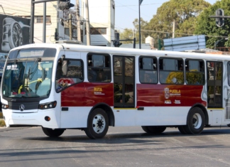 Usuarios de RUTA crecen 13% durante el último año: INEGI