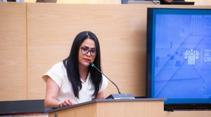 Fedrha Suriano presenta iniciativa para sancionar el embarazo infantil y adolescente