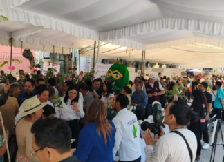 Benefician a más de 2 mil personas con Feria de Paz en Tehuacán