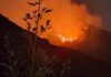 Incendio forestal en Zautla se intensifica; piden apoyo urgente