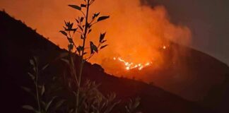 Incendio forestal en Zautla se intensifica; piden apoyo urgente