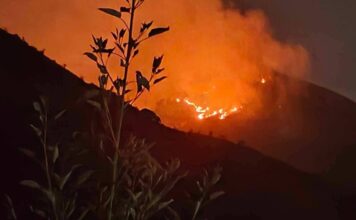 Incendio forestal en Zautla se intensifica; piden apoyo urgente