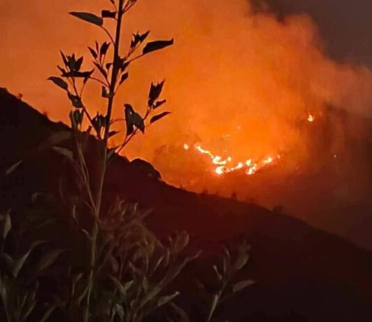 Incendio forestal en Zautla se intensifica; piden apoyo urgente