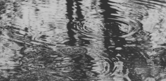 Mueren al menos cinco personas ahogadas en Puebla y Veracruz