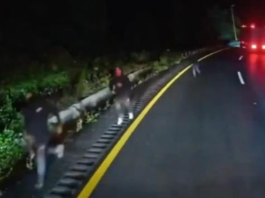VIDEO: Captan intento de asalto en la autopista Puebla-Orizaba