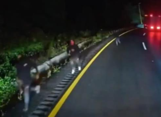 VIDEO: Captan intento de asalto en la autopista Puebla-Orizaba