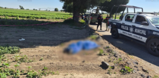 Hallan cadáver de hombre en límites de Tecuanipan y Cholula