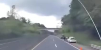 Localizan a hombre sin vida en la autopista México–Tuxpan