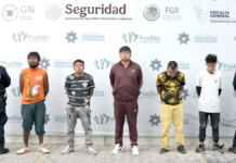 Detienen a cinco por delitos contra la salud en Valle del Sur